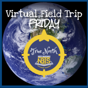 Virtual Field Trip Friday