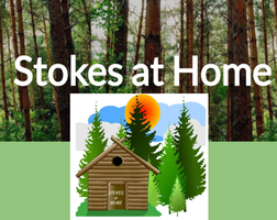 Stokes at Home