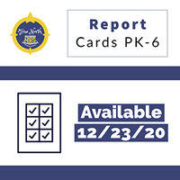 Report Cards PK - 6