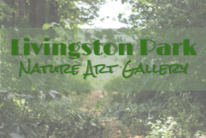 Livingston Park School Nature Art Gallery